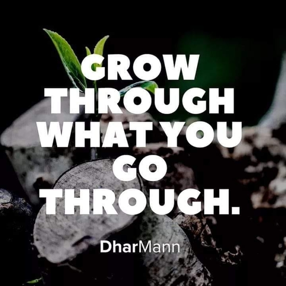 Meet your Posher, Tammy - Picture 1 of 1